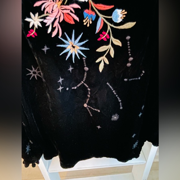 HP๐ JohnnyWas Velvet top  ๐บ๐ธ - Picture 9 of 16